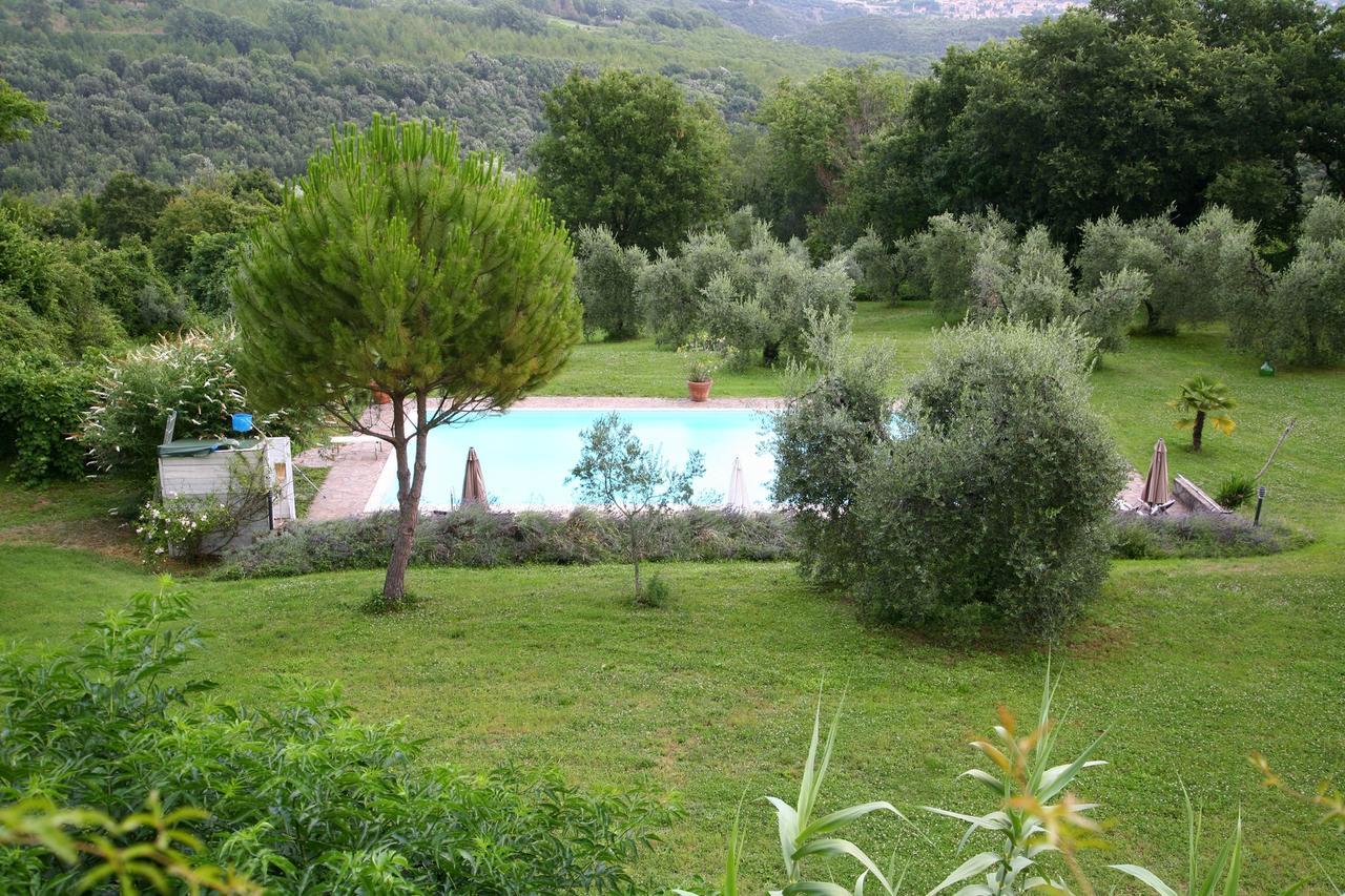 B&B Porchiano Del Monte Амелиа Экстерьер фото